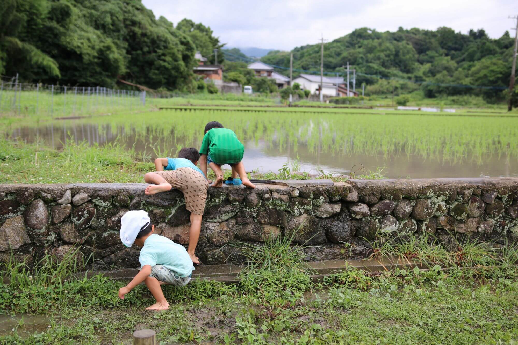 梅雨の晴れ間