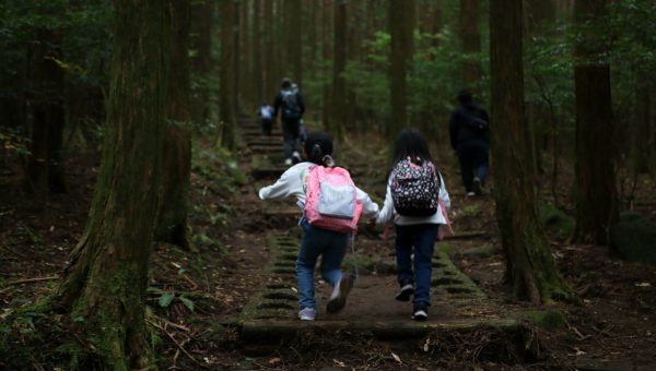 高岩山登山