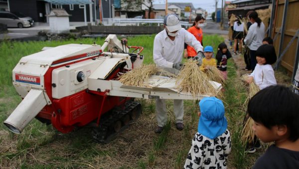 脱穀と籾摺り