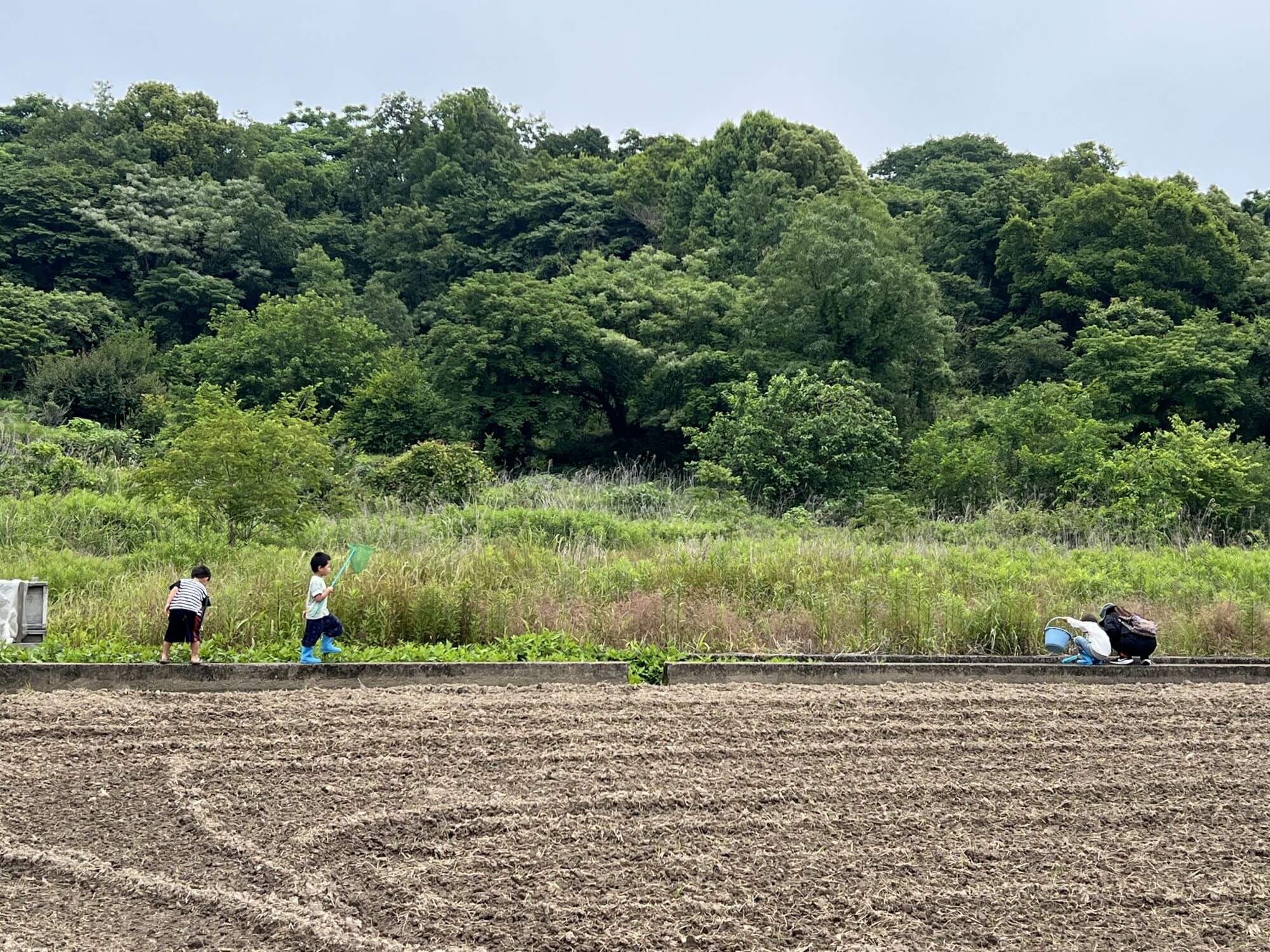 その後　上の川へ