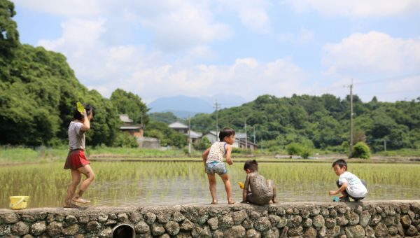 田植え