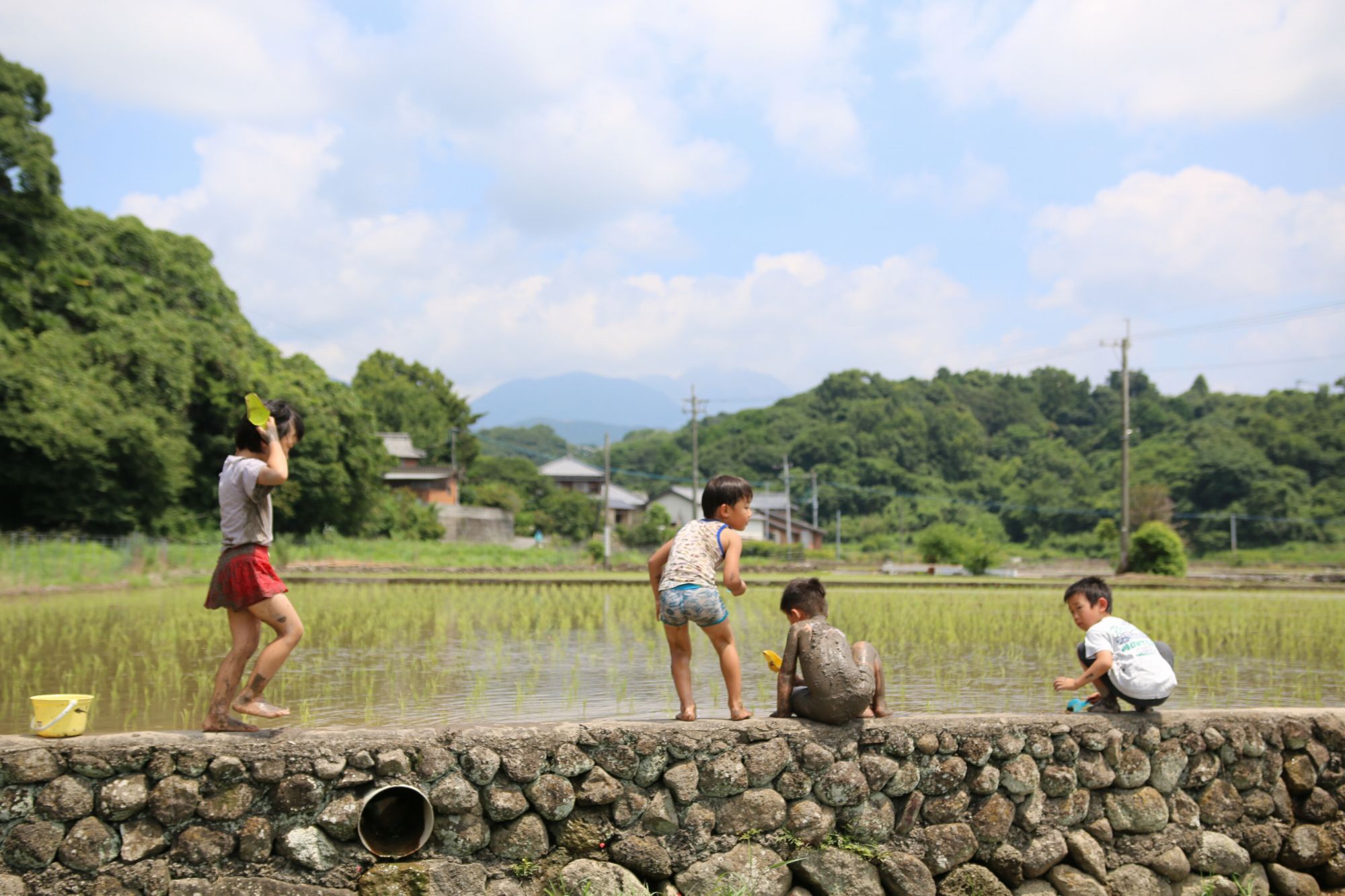 田植え